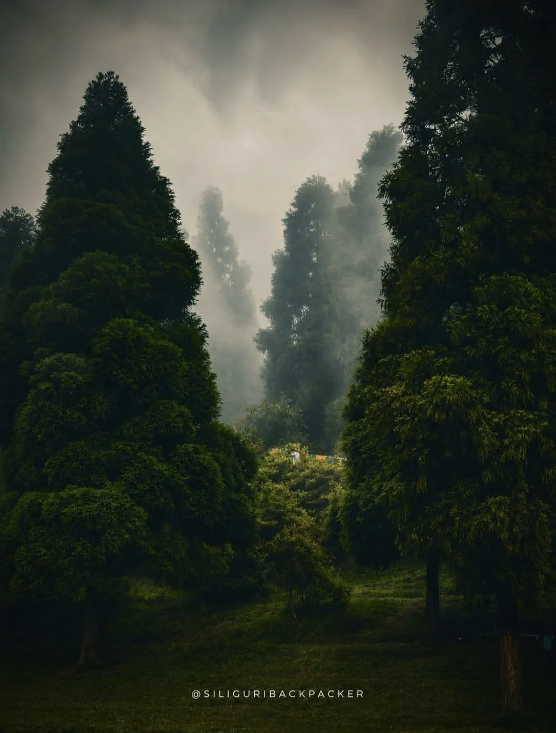 Omnia in Uno — Himalayan view